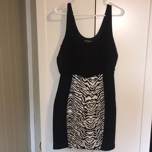 Zebra Express dress